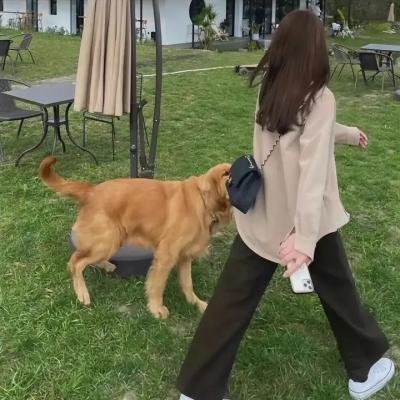 陋巷风云